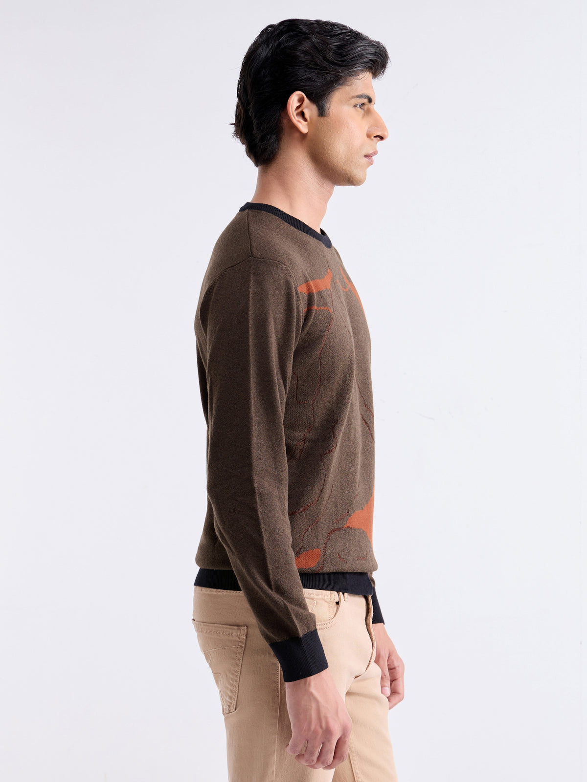 Jacquard Full Sleeve Crew Neck Sweater - Brown Mel t4option_0