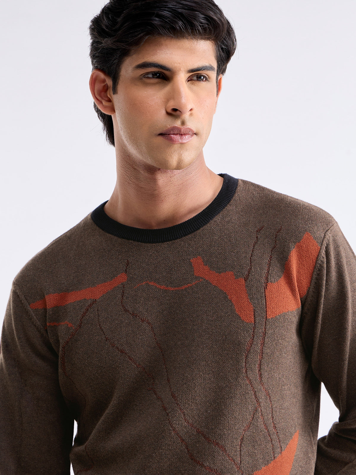 Jacquard Full Sleeve Crew Neck Sweater - Brown Mel t4option_0