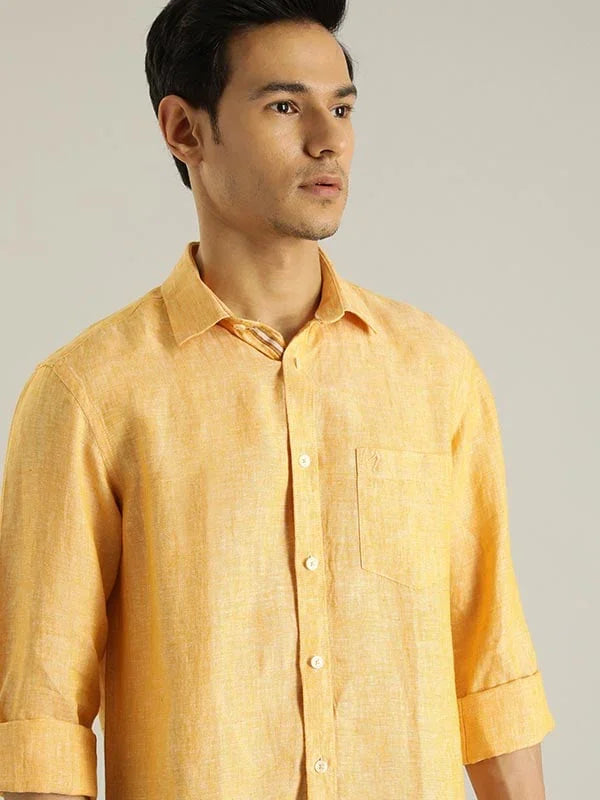 Mustard t4option_0