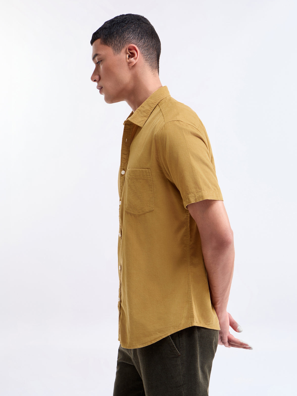 Solid Regular Fit Shirt - Gold t4option_1