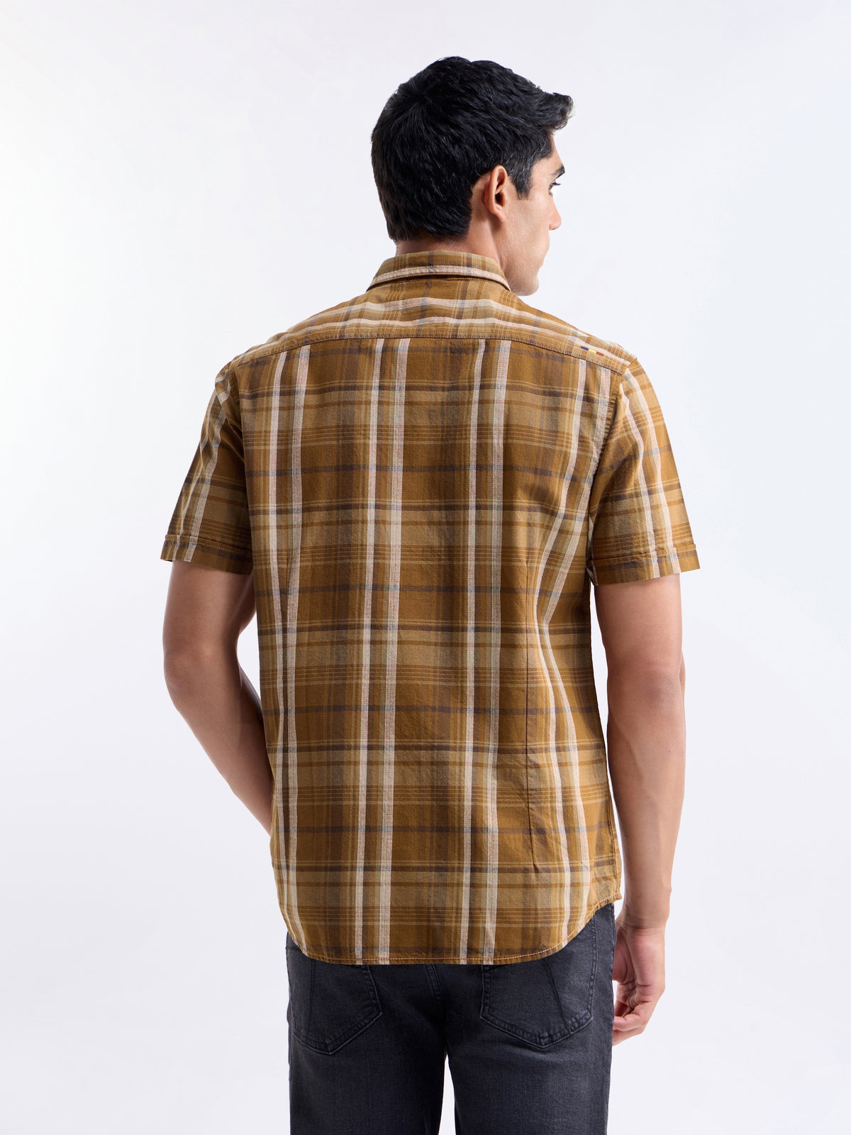 Amber check Regular Fit Shirt - Amber t4option_0