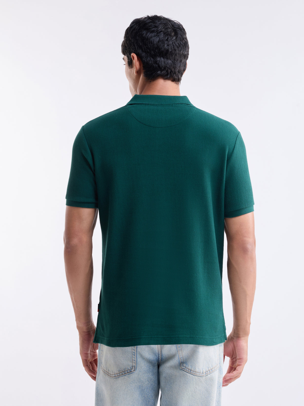 Striped Polo Regular Fit T-shirt - Pine t4option_1